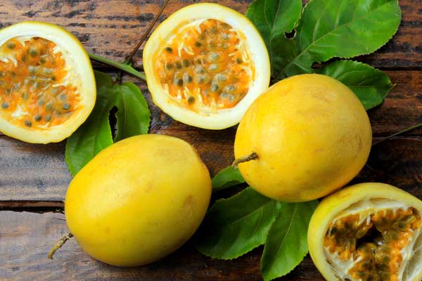 EcuadorianPassionfruit